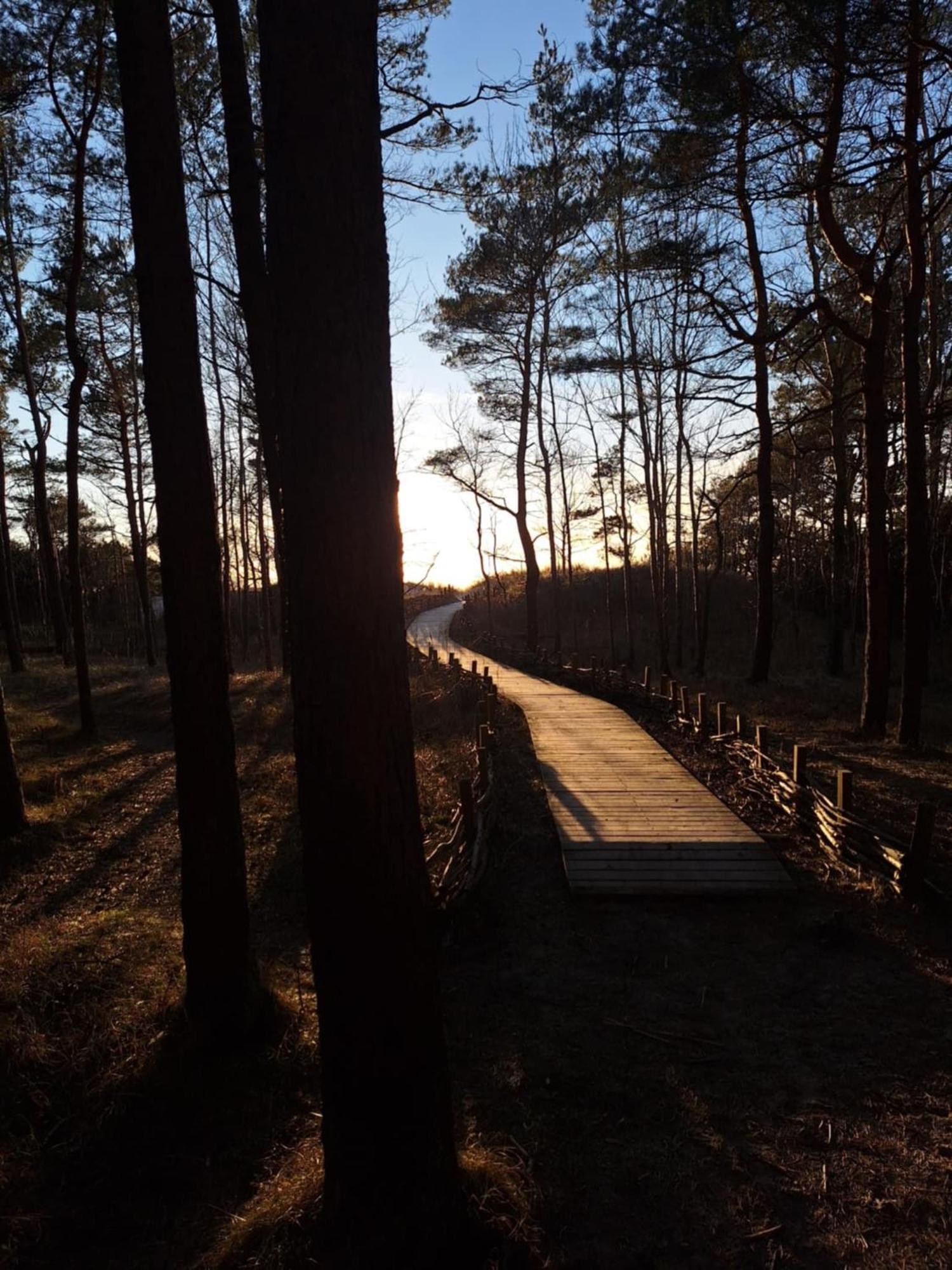 Gintarautojai Hotel Palanga Buitenkant foto